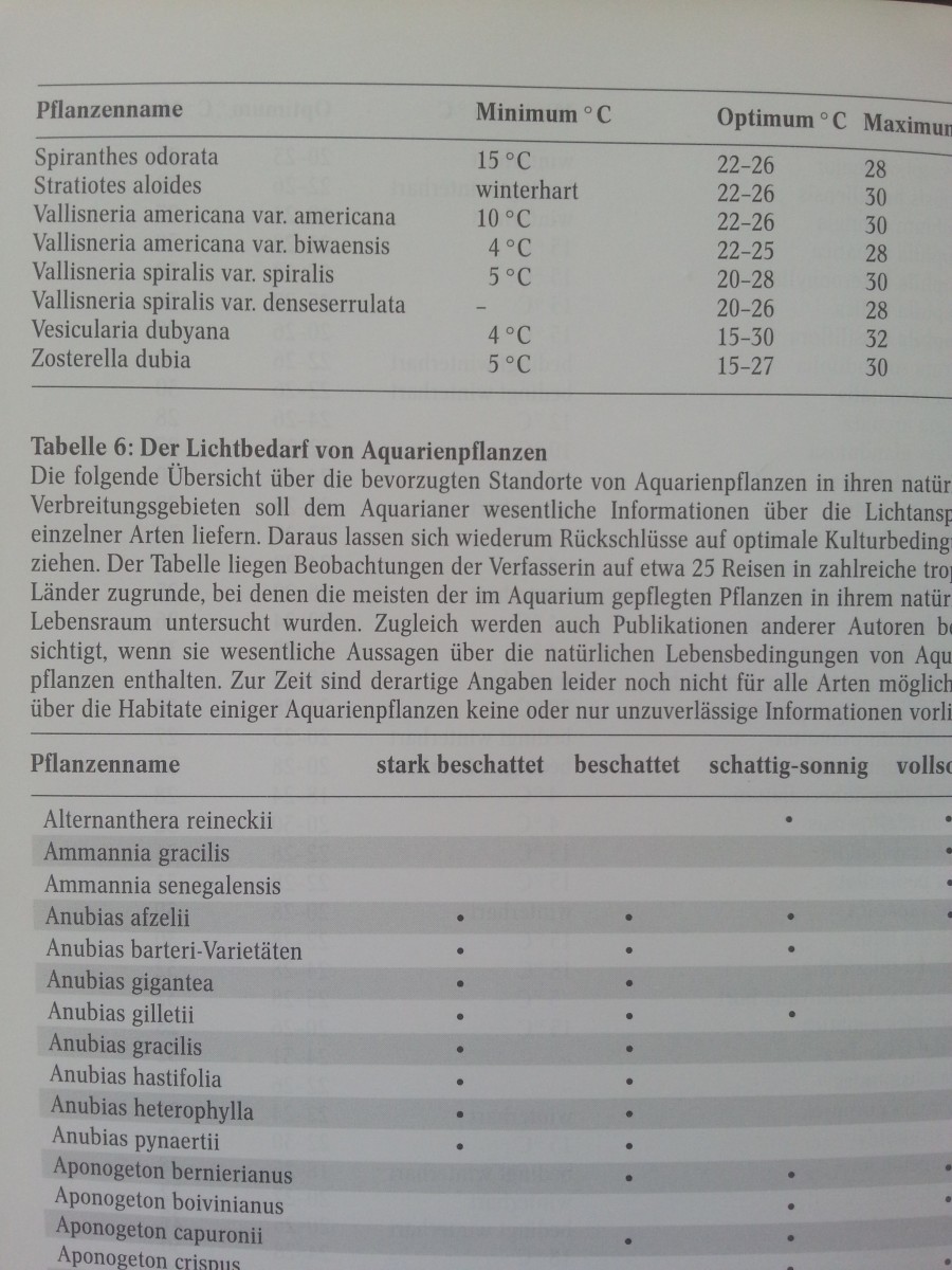 4BhFF2UHi8j0kiIhr36WCOsTfSMTcJ2d.jpeg 4BhFF2UHi8j0kiIhr36WCOsTfSMTcJ2d.jpeg