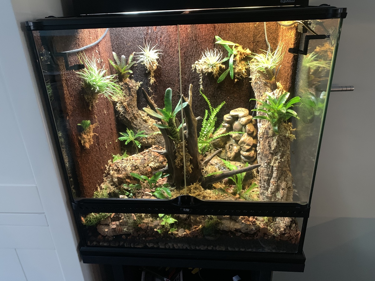 4C05046A-D360-4AC9-BD47-FDB441860E1A.jpeg