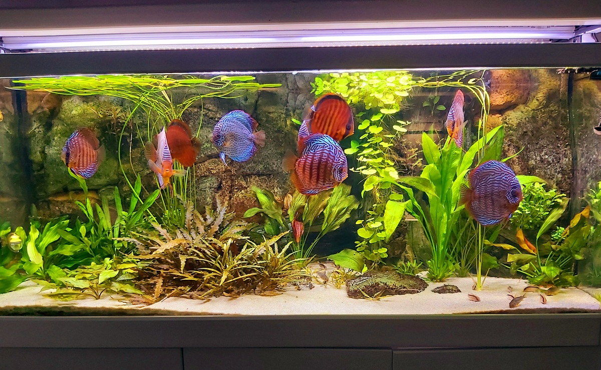5-10-1.jpg