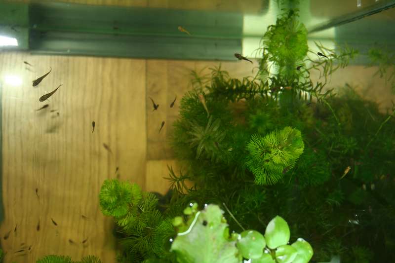 517747_0_82_img_3512.jpg