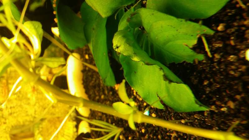521257_0_82_20140121_164217.jpg