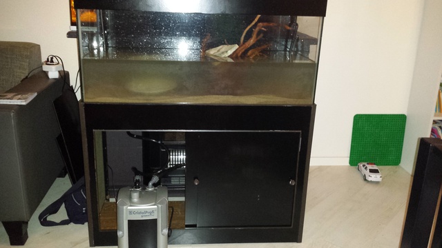 524478susan84_0_85_aquarium_1.jpg