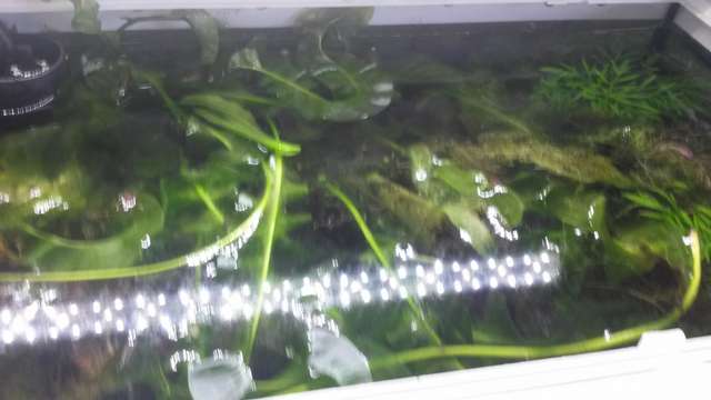 524955_0_82_20160726_120606.jpg