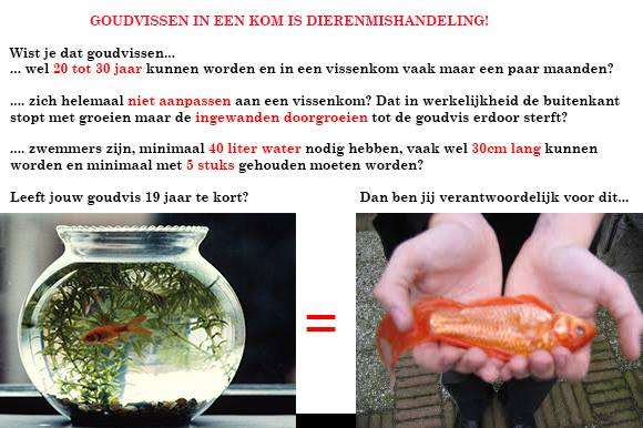 525812_0_82_goudvissen_leed.jpg