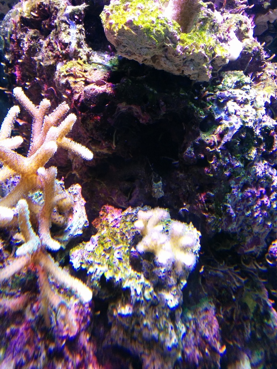 52e0d50089120-IMG_20140123_080207.jpg