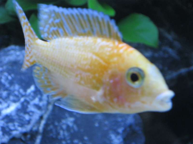 531435wimkon_0_82_img_0299.jpg