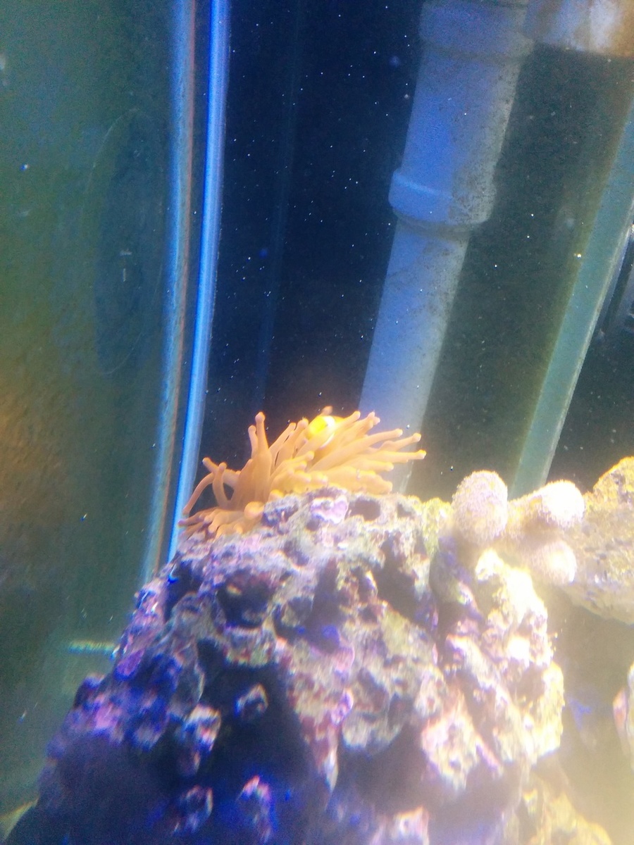 5317325933f7e-IMG_20140304_214601.jpg