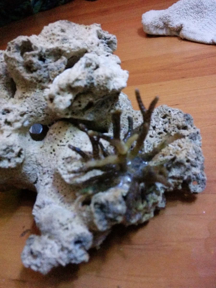 535993169f876-IMG-20140424-WA0098.jpg
