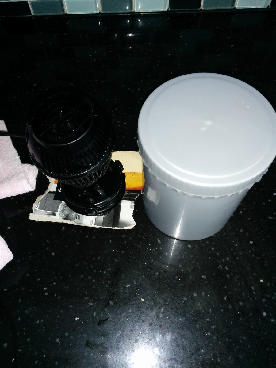 53b41547a9282-IMG-20140702-WA0013.jpg