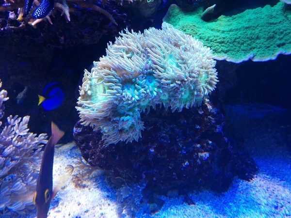 53c4ec07ef752-IMG-20140710-WA0009.jpg