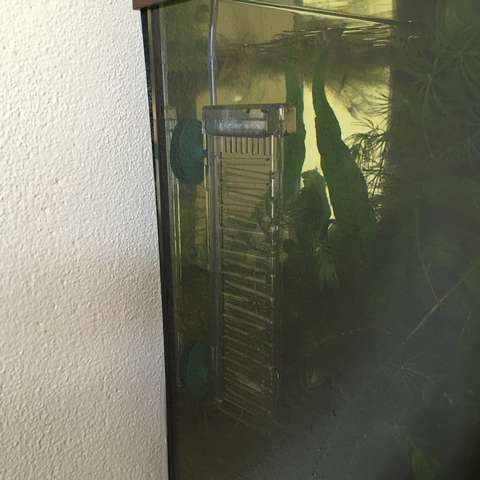 551383aquabart_0_82_img_0256.jpg