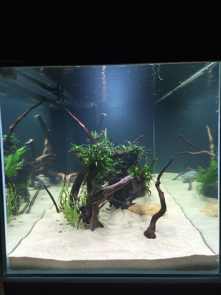 557312tuinkabouter_0_85_guppenbakke.jpg