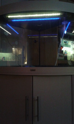 557832ruudmo_0_85_aquariu.jpg