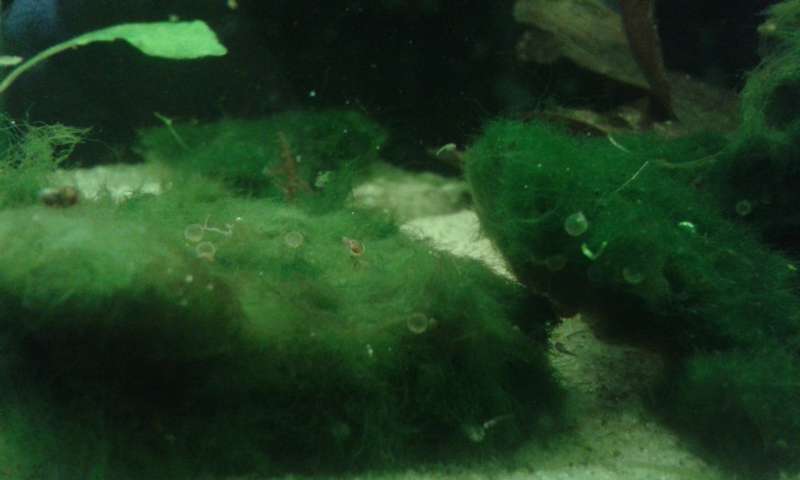 566976an_vrolijk_0_82_20140511_130504.jpg