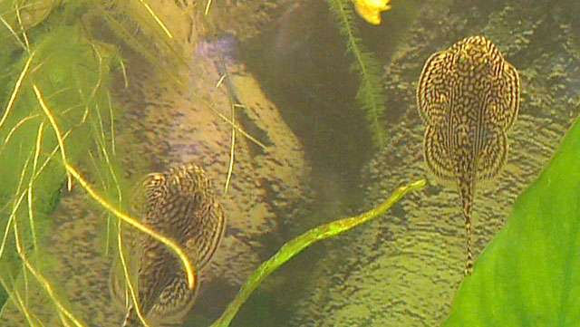 571423chris10_0_82_hill5.jpg
