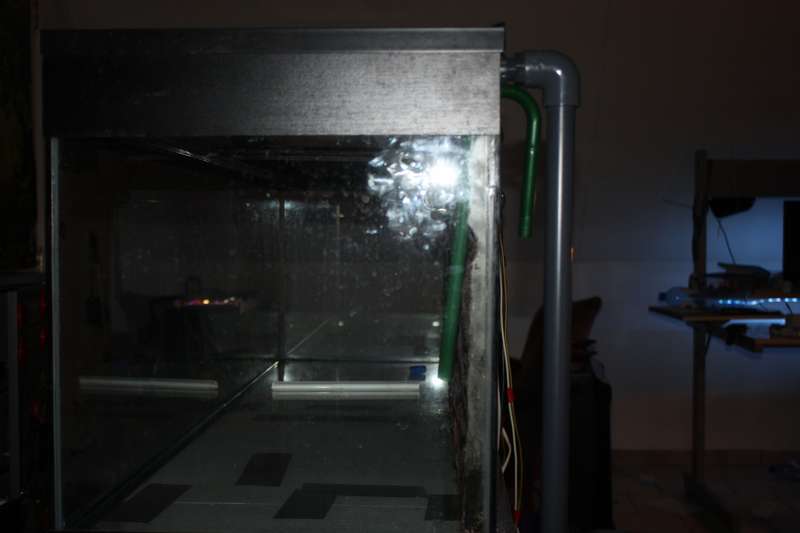 571943_0_82_img_9720.jpg