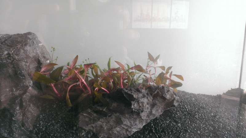 573655_0_82_wp_20140320_007.jpg