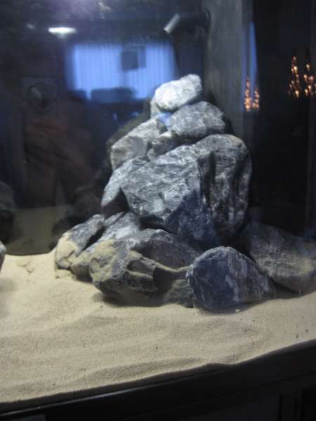574157nilo1804_0_82_img_1759.jpg