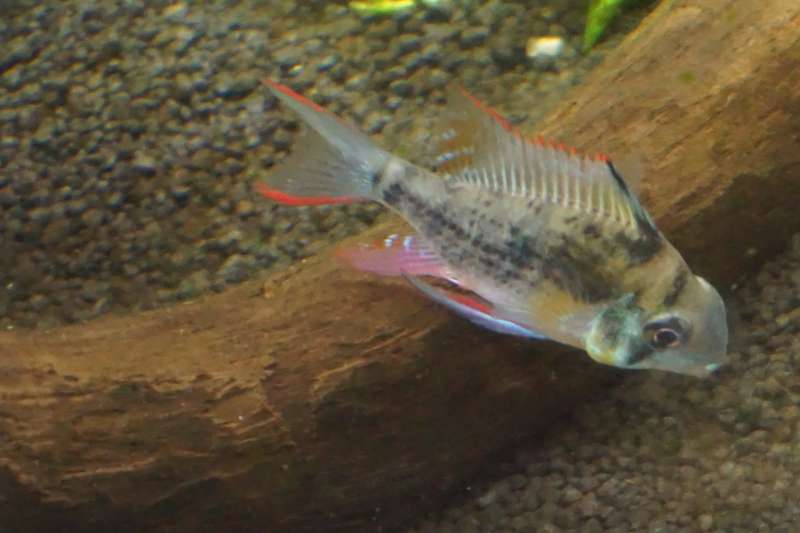 574931tonhageraats_0_82_dsc00259.jpg
