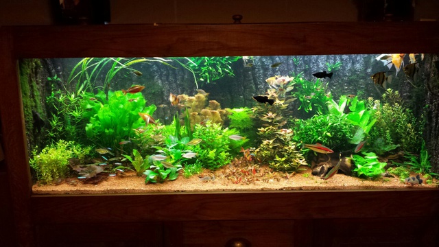 577953dreeke_0_85_aquariu.jpg