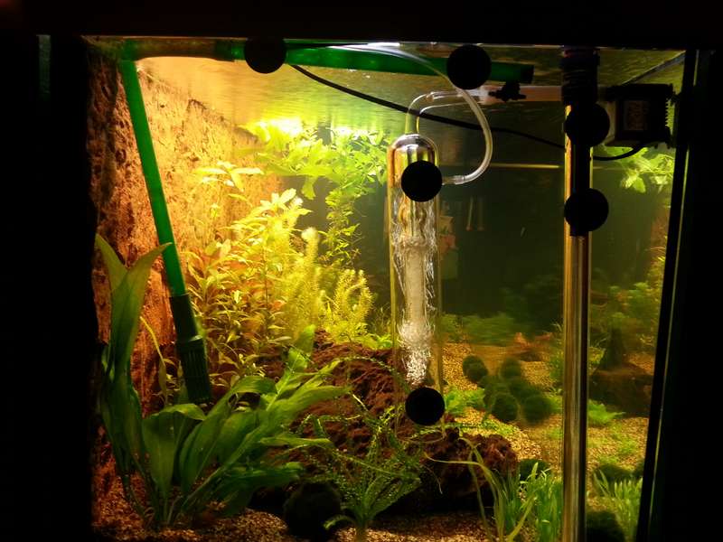 578741_0_82_aquarium_38.jpg