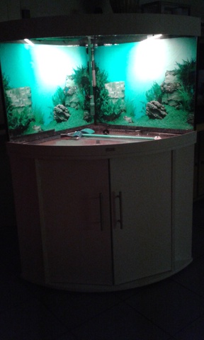 579733ruudmo_0_85_aquariu.jpg