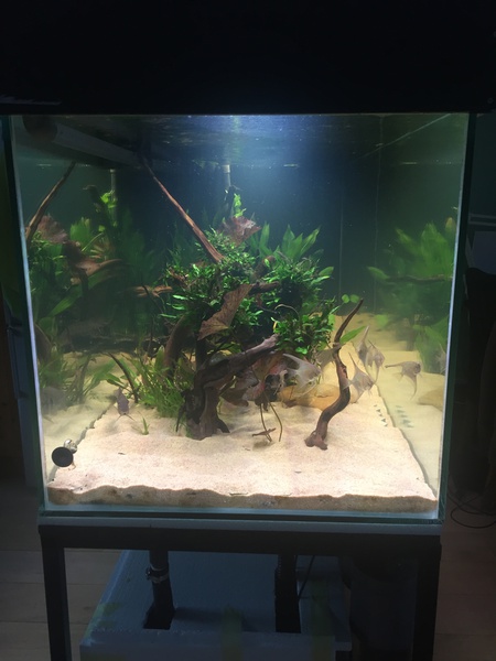 579961tuinkabouter_0_85_guppenbakke.jpg