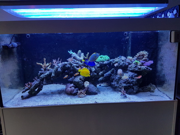 57c8096acebbe-20160901_112321.jpg