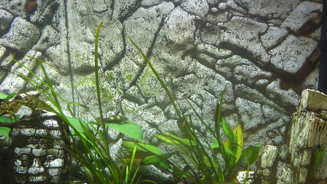581154nobody84_0_84_p1020484.jpg