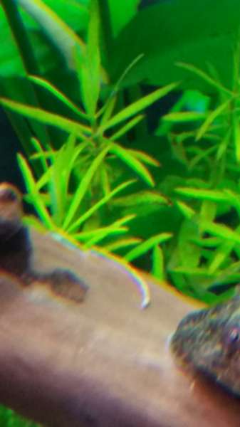 581927_0_82_20160304_235417.jpg