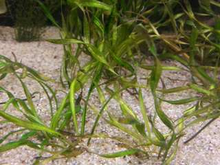 589933aquamitch_0_82_20150223_185901.jpg