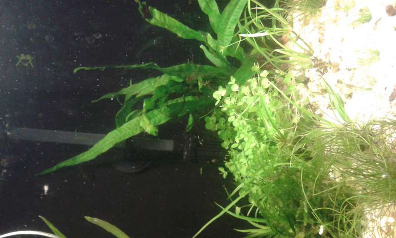 593839_0_82_20150705_093120.jpg