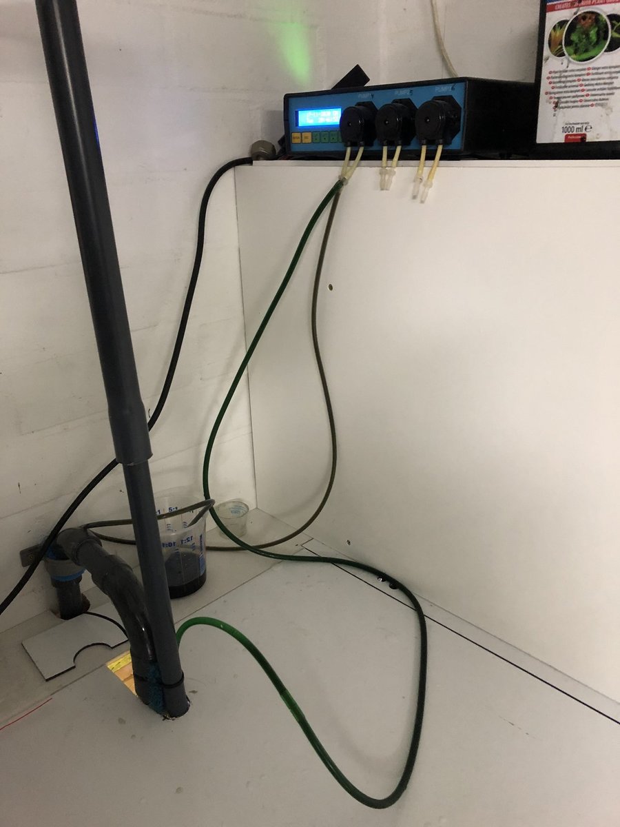 5N3500r4S2ikfs%Rj+ue4g.jpg