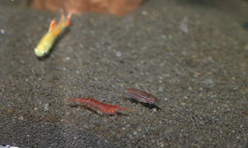 627161_0_82_img_5330.jpg