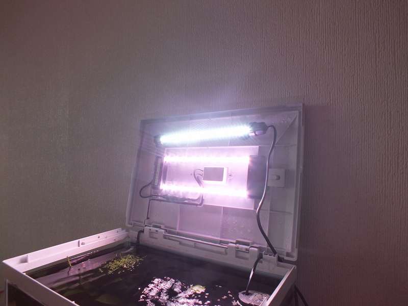 629269_0_82_nr.jpg