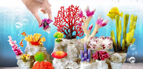 studio Maestro Verst zoetwater koraalrif | AquaForum
