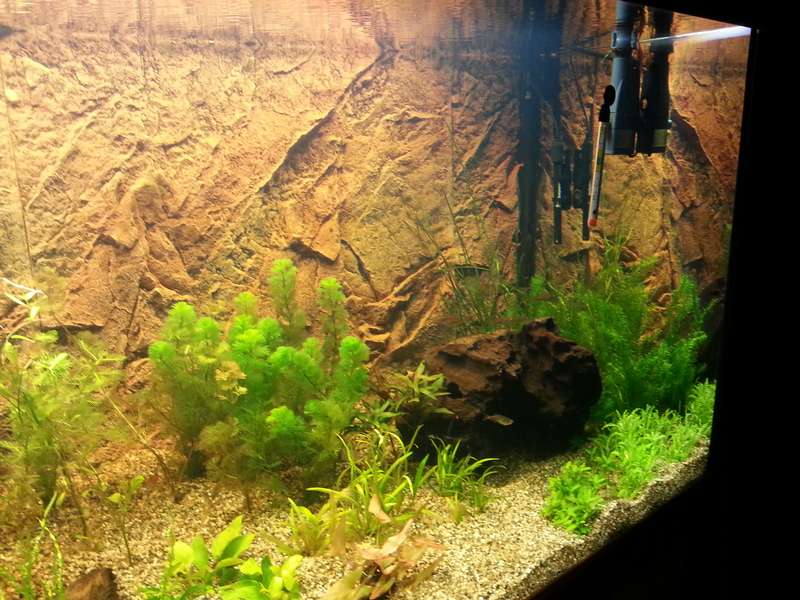 632759_0_82_aquarium_34.jpg