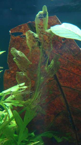 632771_0_82_dsc02557.jpg
