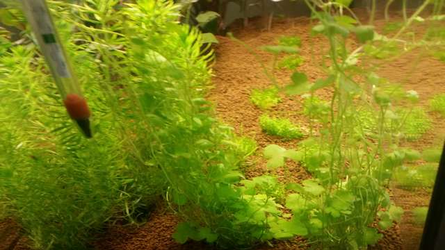 633153_0_82_20150913_134536.jpg