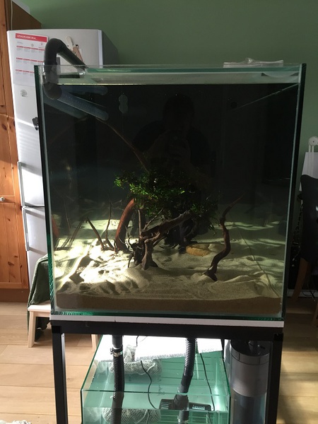 641561tuinkabouter_0_85_guppenbakke.jpg