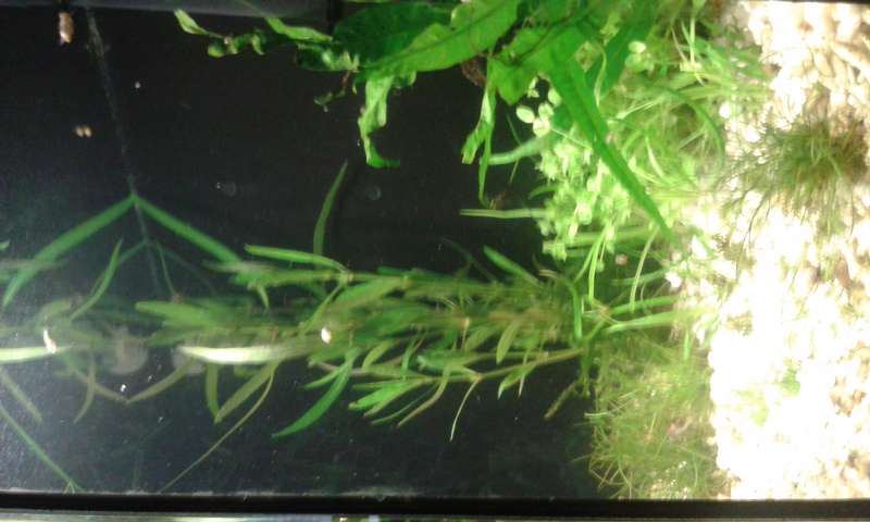 642796_0_82_20150705_092102.jpg