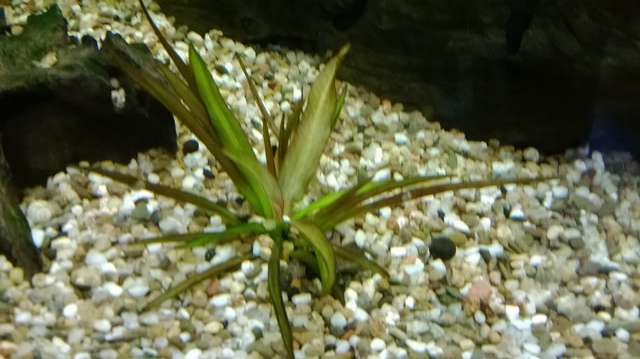 644598kvzkvz_0_82_wp_20131009_026.jpg