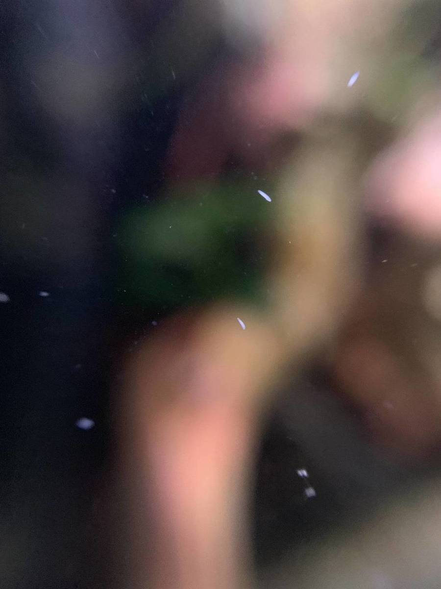 6480D08B-26E8-468C-BD01-78EC69EF3B33.jpeg