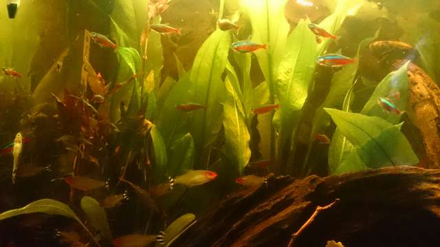 653475mervin_0_82_dsc_0036.jpg