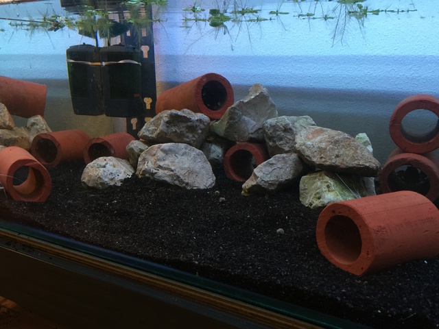 653591pirke64_0_85_aquariu.jpg