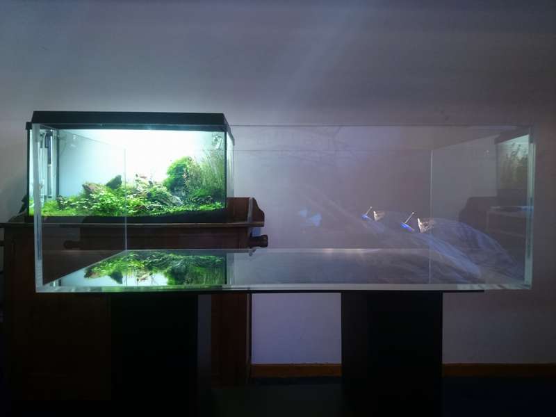 buurman Laboratorium Dempsey Prototype Acryl bak zelfbouw | AquaForum