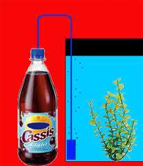 656241_0_82_test1.jpg