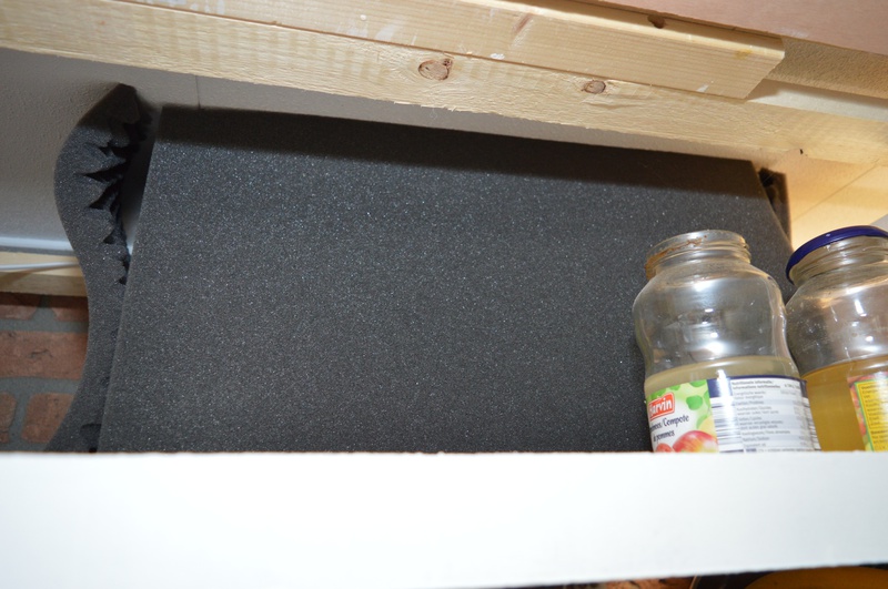 659523corydorasfan_0_85_deskto.jpg