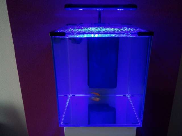 659869blup28_0_82_cam00190.jpg
