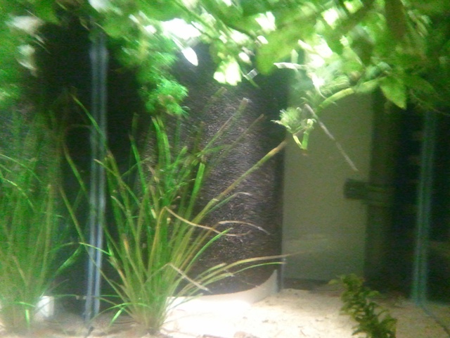 665277dennis_89_0_84_foto0259.jpg